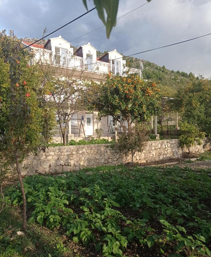 Apartment Lucija With Sea View Dubrovnik Eksteriør bilde